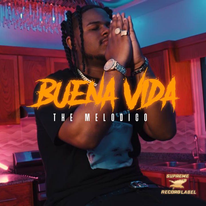 The Melodico - Buena Vida on Spotify 